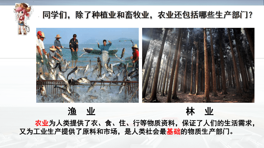 4.1中国的农业课件（共28张PPT） 湘教版地理八年级上册