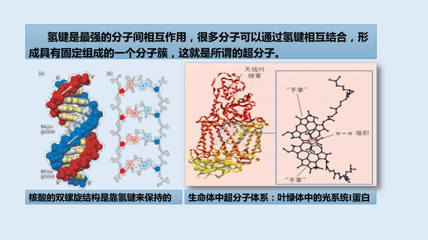 3.4.2配合物与超分子  课件(共16张PPT)   人教版（2019）选择性必修2