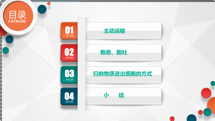 4.2主动运输与胞吞、胞吐课件(共38张PPT)2023-2024学年高一上学期生物人教版必修1