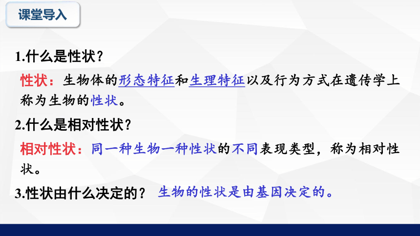 6.20.3性状遗传有一定的规律性教学课件(共20张PPT)2023---2024学年北师大版生物八年级上册