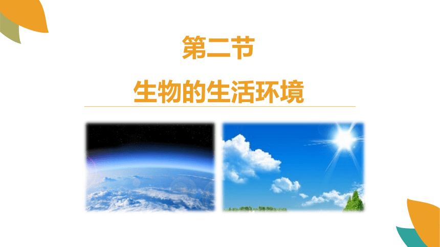 1.1.2 生物的生活环境 课件(共30张PPT)2023--2024学年济南版生物七年级上册