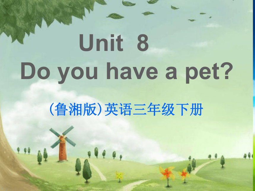 Unit 8 Do you have a pet? SectionB 课件
