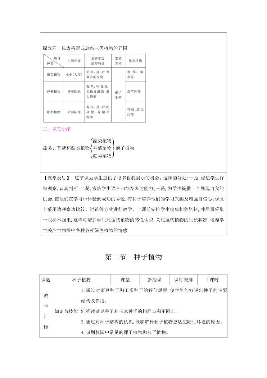 3.1 生物圈中有哪些绿色植物教案 共2课时（表格式）2023--2024学年人教版生物七年级上册