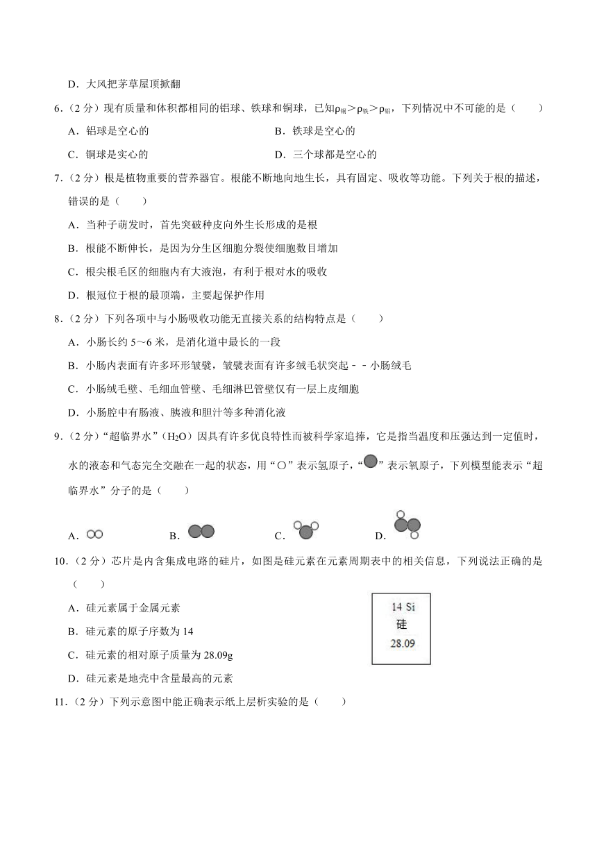 浙江省宁波市慈溪市2022-2023学年八年级上学期期末科学试卷（含答案）