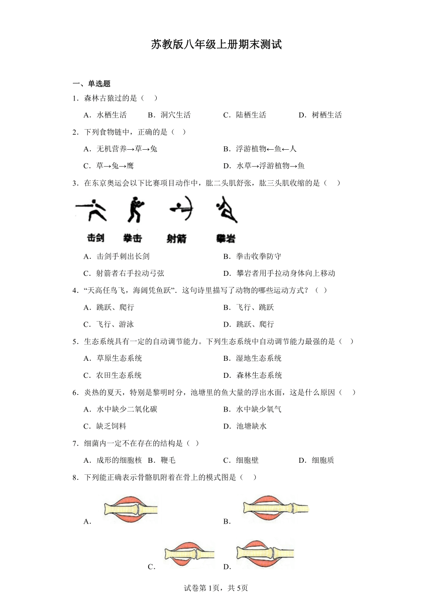 2023-2024学年初中生物苏教版八年级上册期末测试模拟卷（答案+解析）