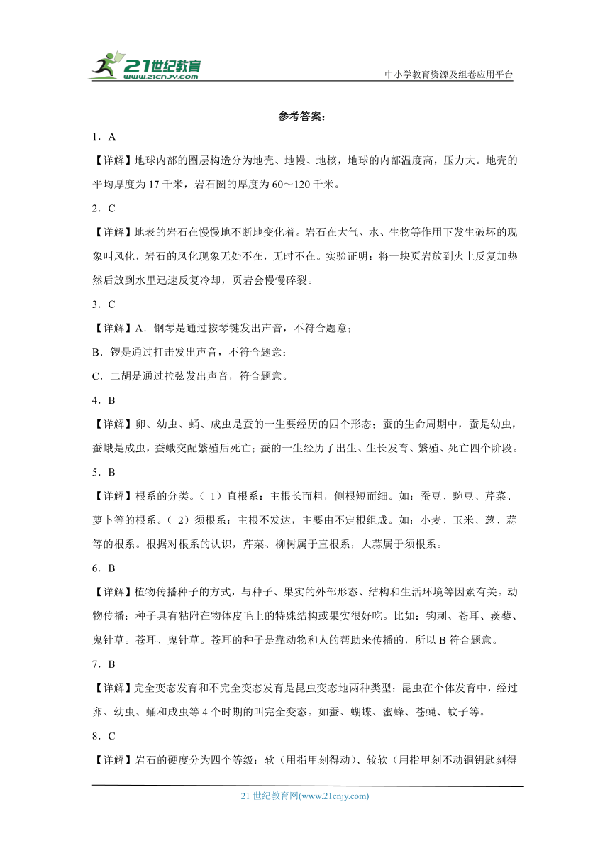 粤教版四年级上册科学期末试题（含答案）