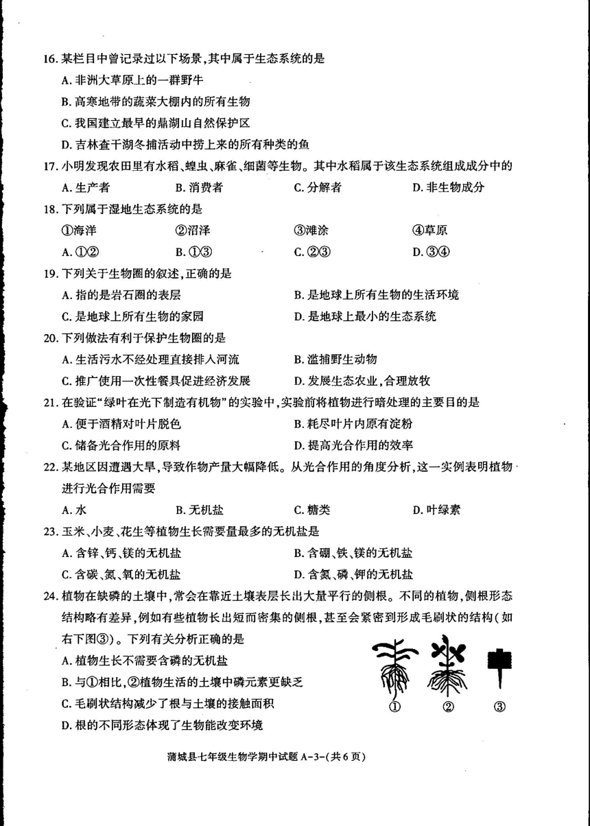 陕西省渭南市蒲城县2023-2024学年上学期七年级生物期中测试卷（PDF版无答案）