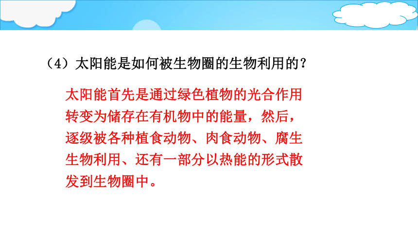 2.1.5 绿色植物在生物圈中的作用 课件(共23张PPT)2023--2024学年济南版生物七年级上册