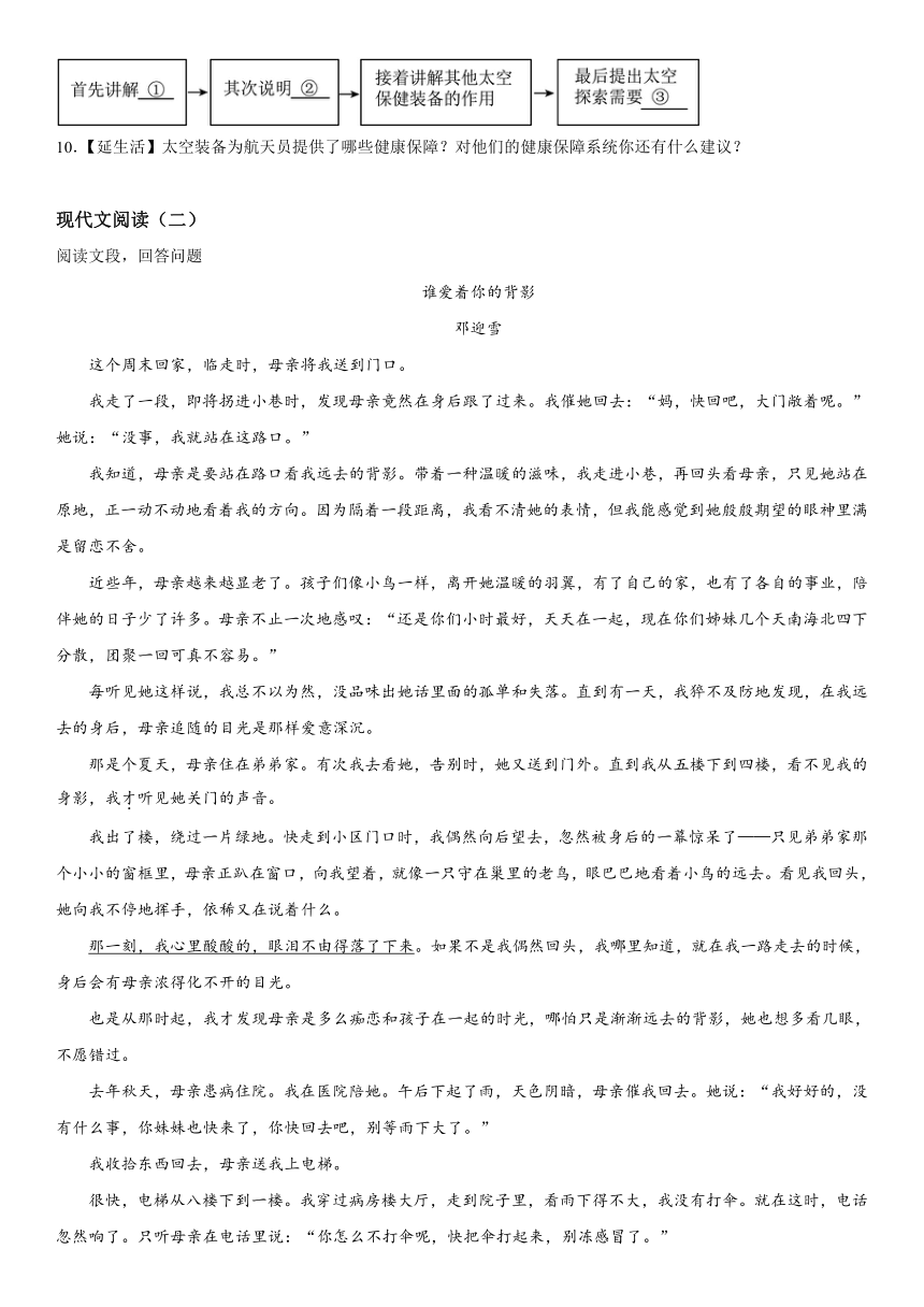 广西壮族自治区柳州市鹿寨县2023-2024学年七年级上册期中语文试题（含解析）