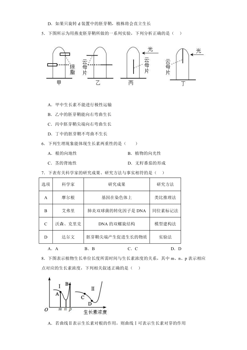 5.1植物生长素的发现与作用 练习（含解析）