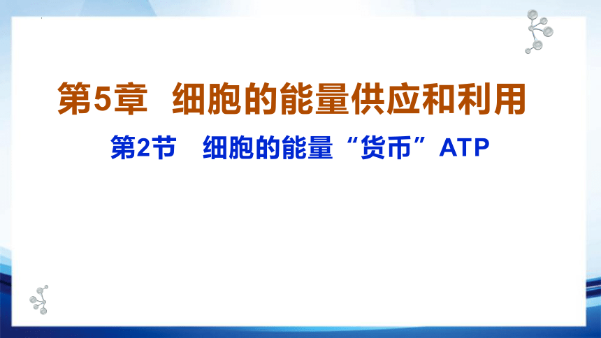 5.2 细胞的能量“货币”(共23张PPT)ATP-高一生物课件（人教版2019必修1）