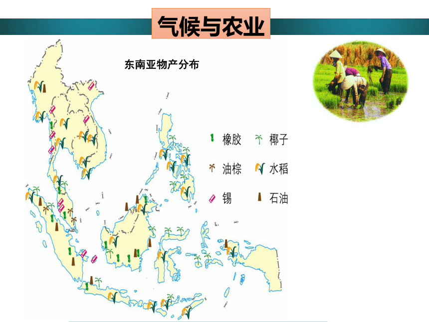 粤教版 七年级地理下册  第七章  第二节 东南亚（第2课时）课件（共16张PPT）
