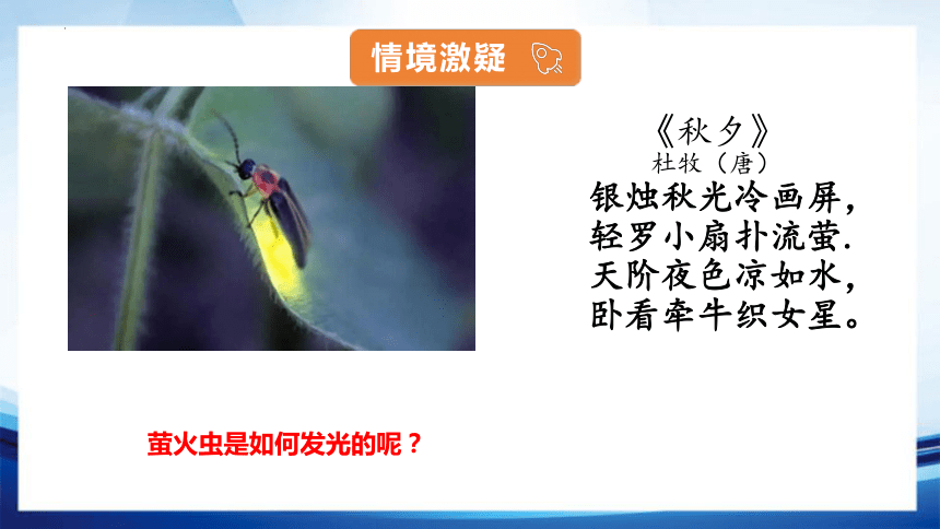 5.2 细胞的能量“货币”(共23张PPT)ATP-高一生物课件（人教版2019必修1）