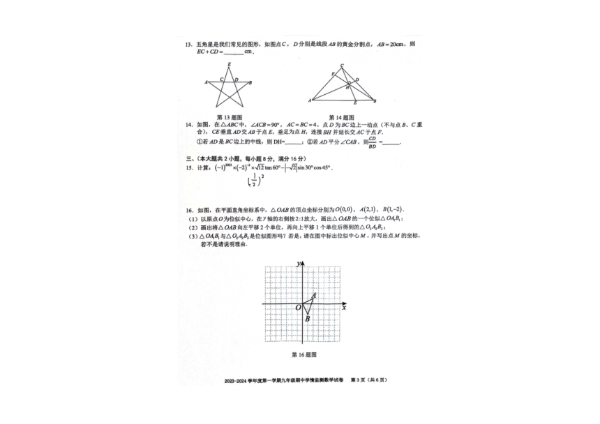 安徽省合肥市三十八中2023-2024学年第一学期九年级期中数学试卷（含答案）