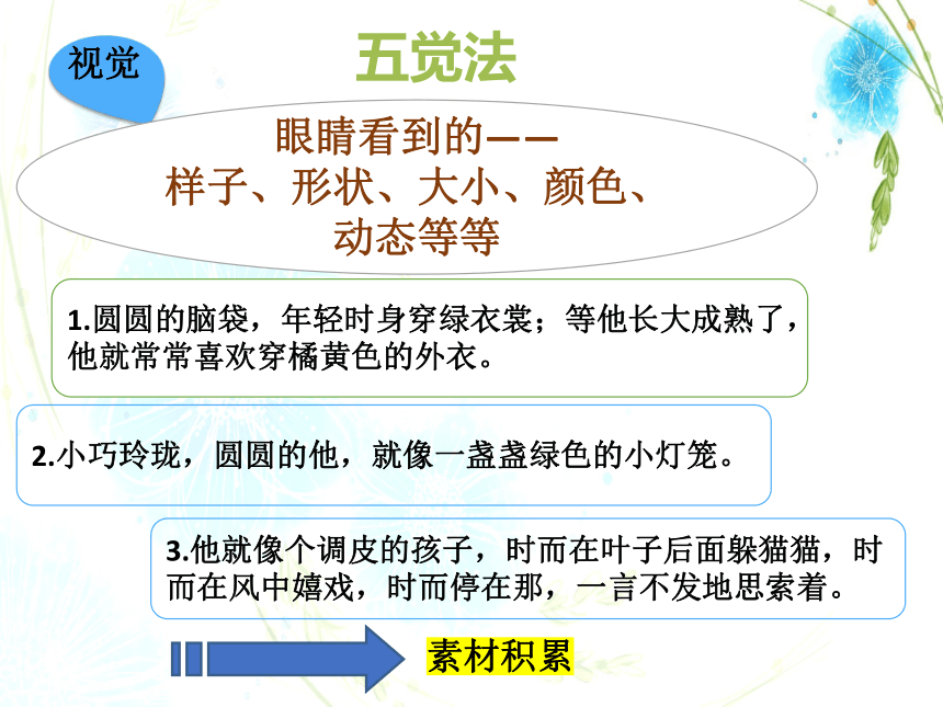 统编版语文三年级上册习作：我们眼中的缤纷世界  课件(共22张PPT)