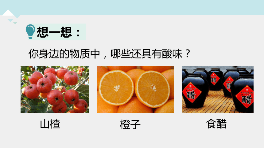 1.2 物质的酸碱性（第1课时）---2023-2024学年浙教版科学九年级上册（课件 23张ppt）