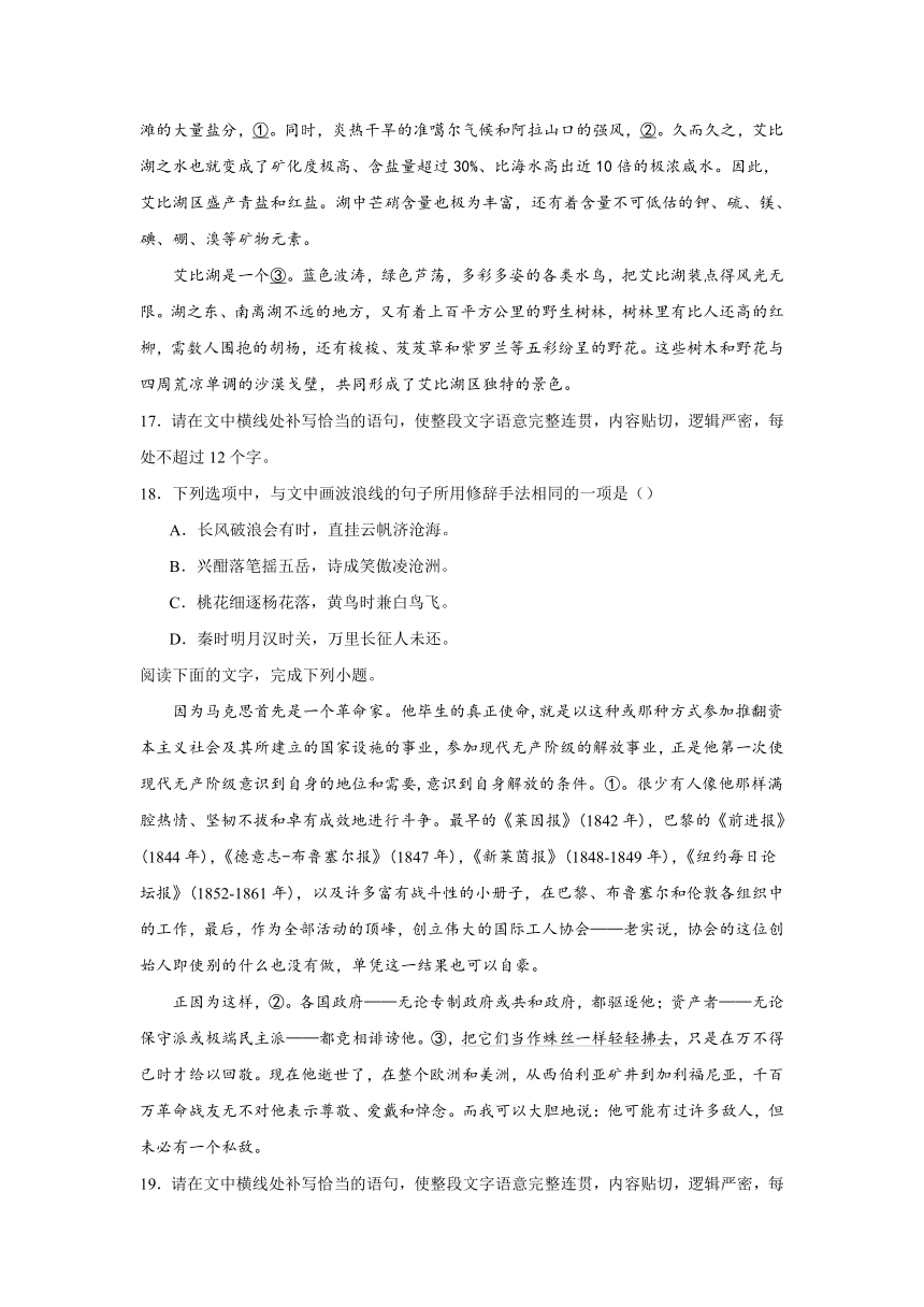 2024届高考语文复习：语用试题专练修辞手法选择题（含解析）