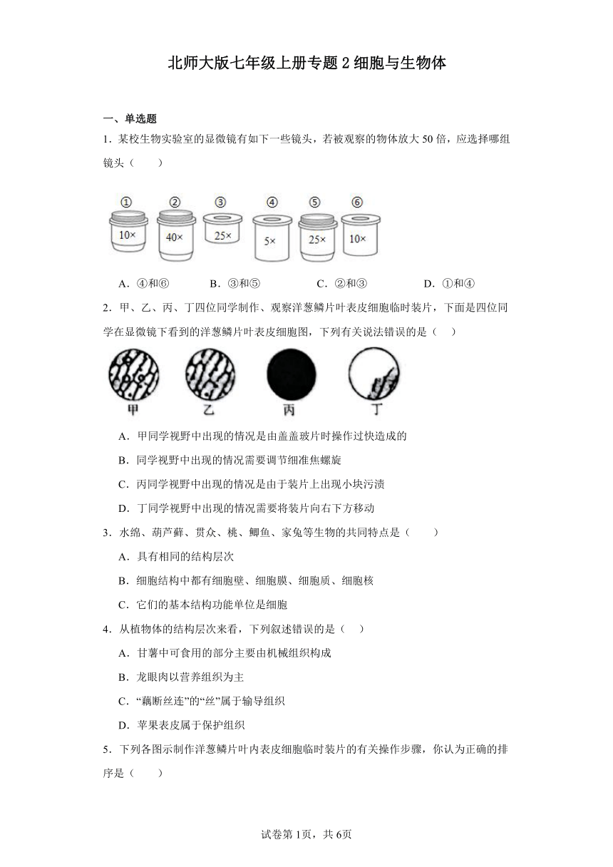 2023-2024学年初中生物北师大版七年级上册期末复习专题2细胞与生物体（答案 +解析）