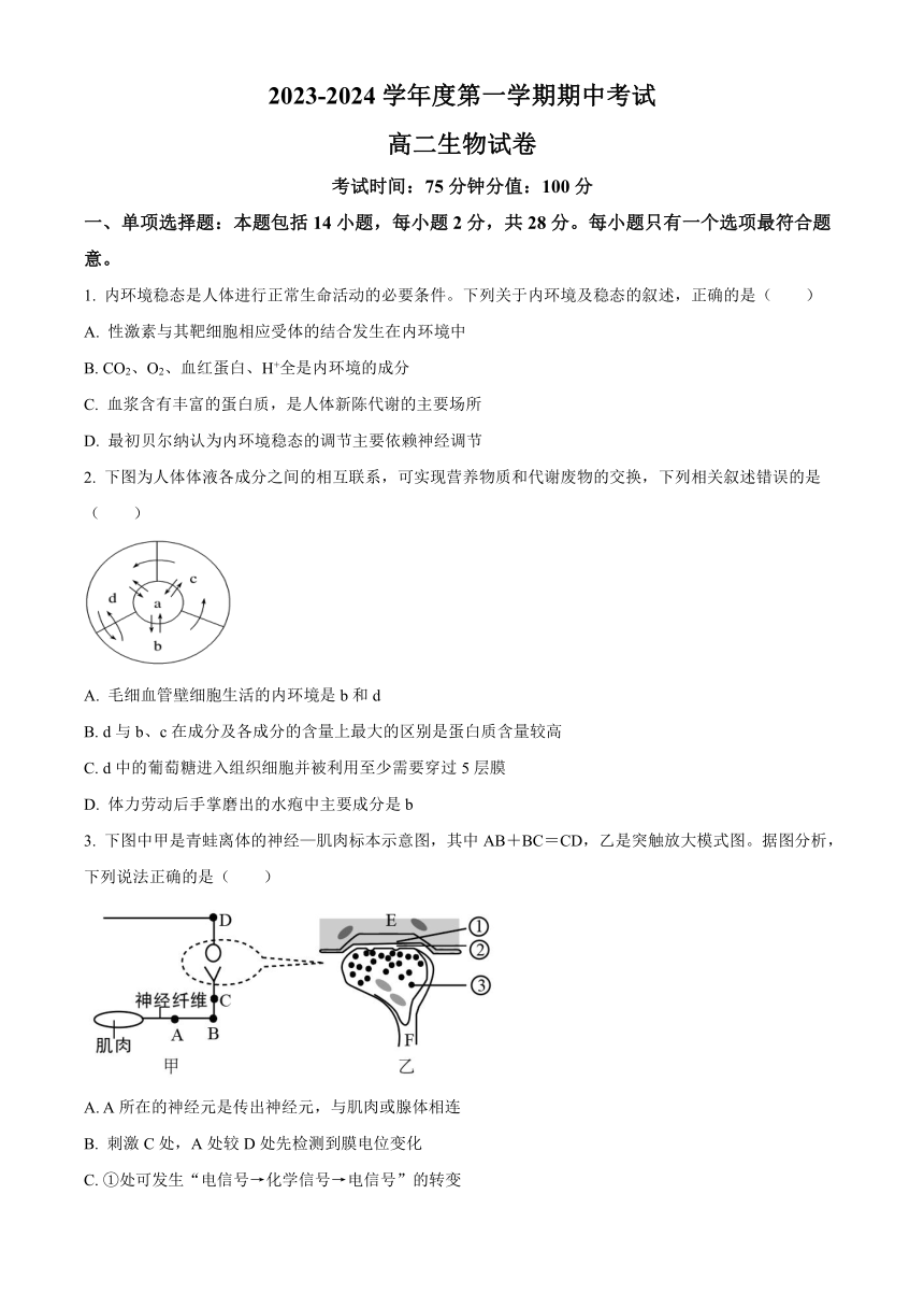 江苏省无锡市锡东高级名校2023-2024学年高二上学期期中考试生物（解析版）