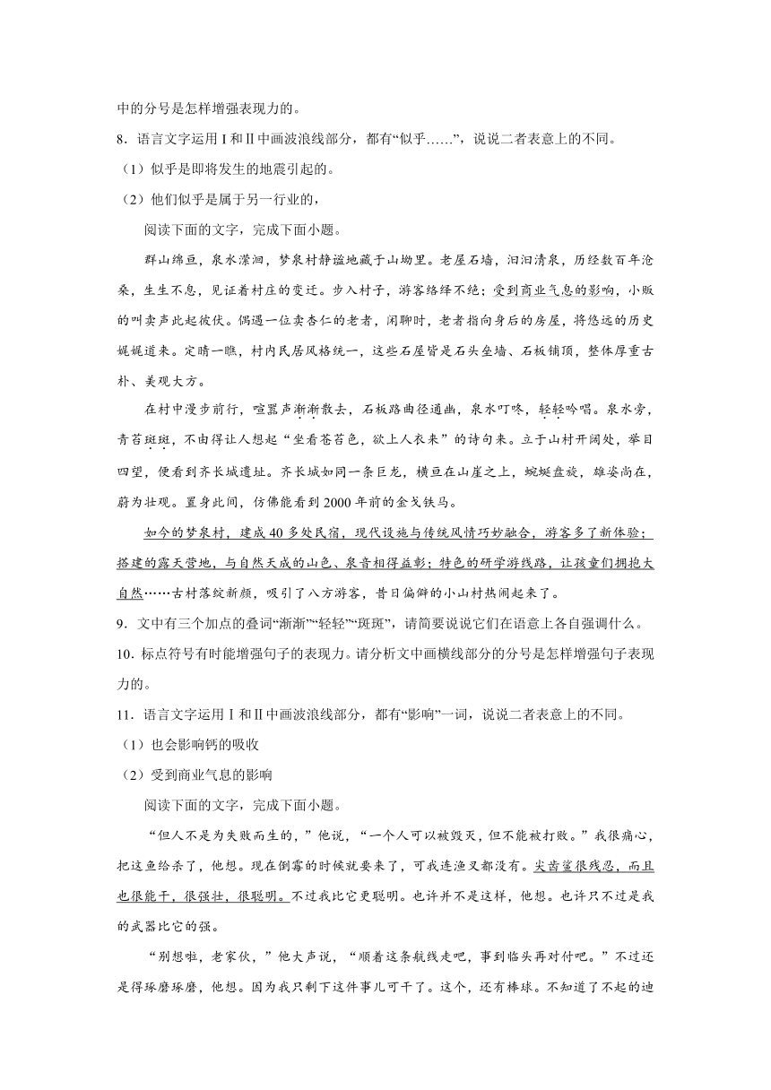 2024届高考语用试题专练：标点符号的表现力——分号、逗号（含解析）