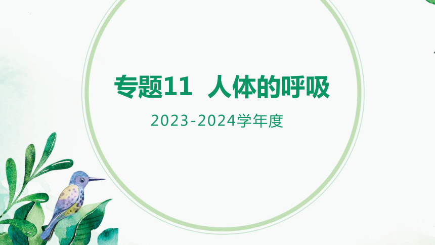 专题11 人体的呼吸（课件精讲）-2023-2024年中考一轮复习精讲精练（全国通用）(共20张PPT)