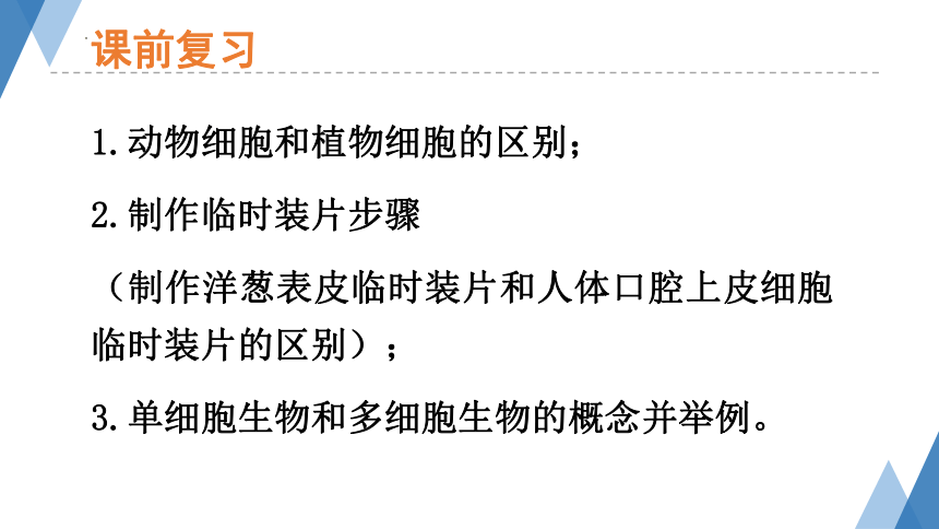 1.2.1 细胞的结构和功能（第二课时）课件(共22张PPT)2023-2024学年济南版生物七年级上册