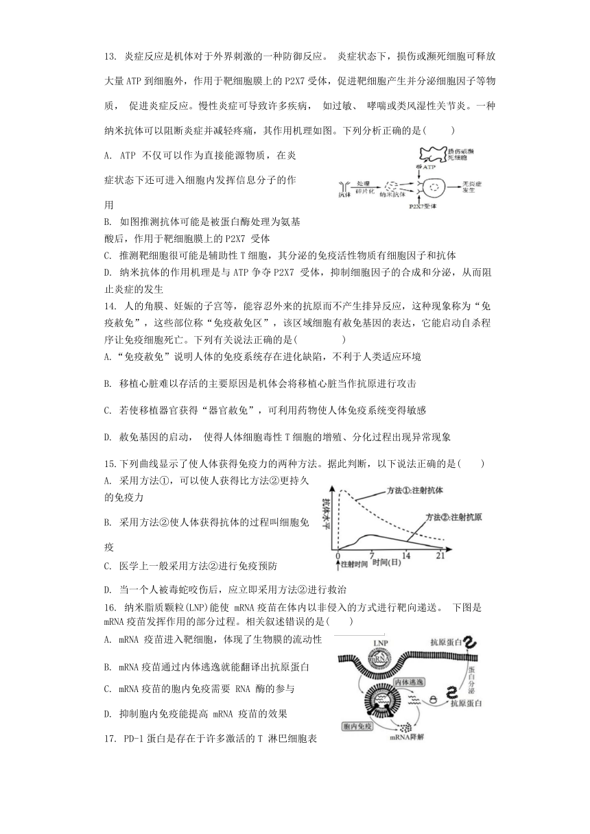 广东省广州市白云区2023-2024学年高二上学期期中考试生物学试题（无答案）