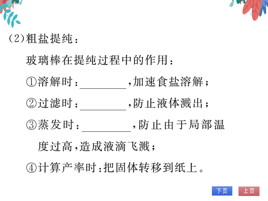 【同步精讲-习题课件】第十一单元《盐 化肥》单元复习与提升-人教版化学九下