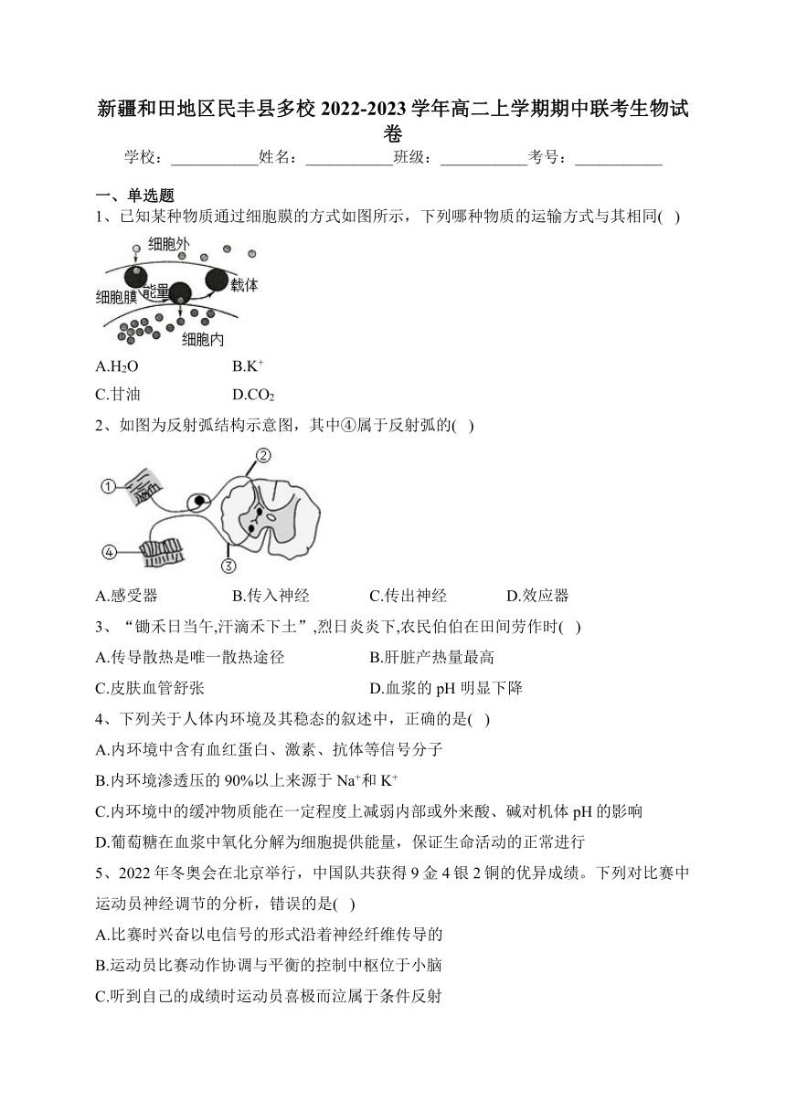 新疆和田地区民丰县多校2022-2023学年高二上学期期中联考生物试卷(含答案解析)