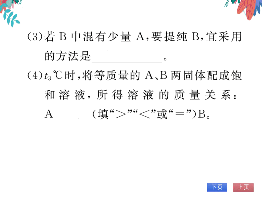 【同步精讲-习题课件】第九单元《溶液》专题二 溶解度曲线的理解和应用-人教版化学九下