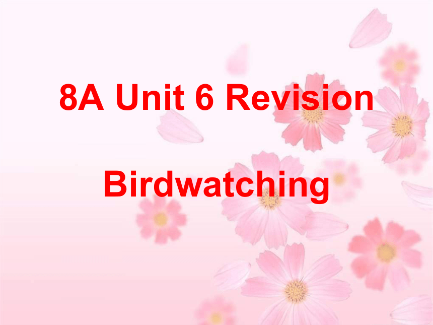 牛津译林版八年级英语上册Unit6复习课件 (共20张PPT)