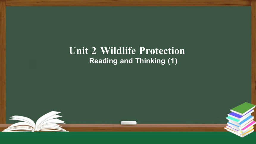 Unit 2 Wildlife Protection Reading and Thinking 课件（共29张PPT）高中英语 新人教版 必修二