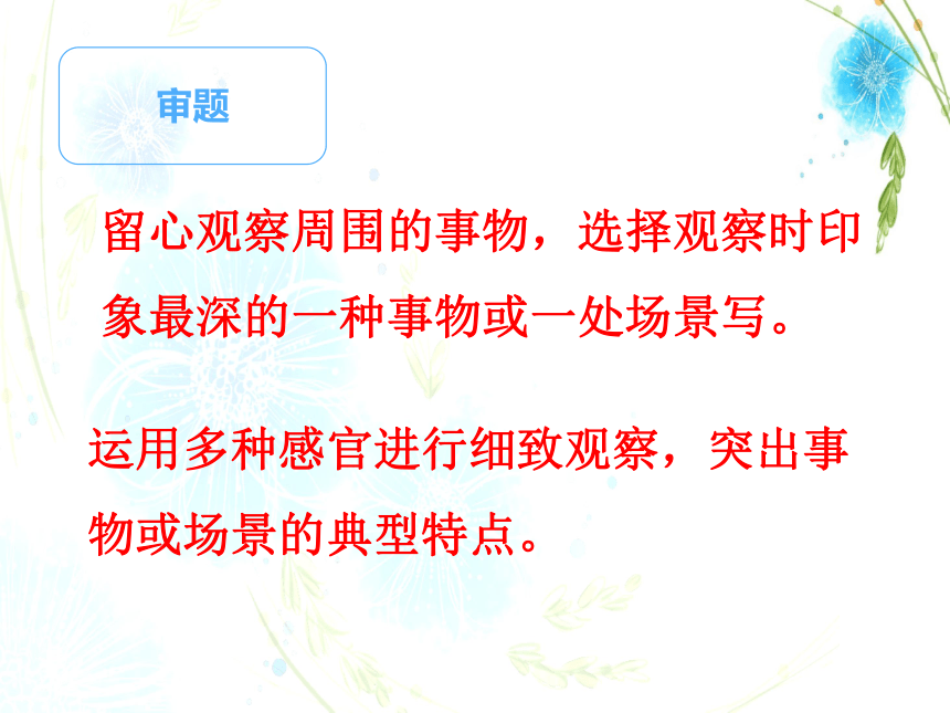 统编版语文三年级上册习作：我们眼中的缤纷世界  课件(共22张PPT)