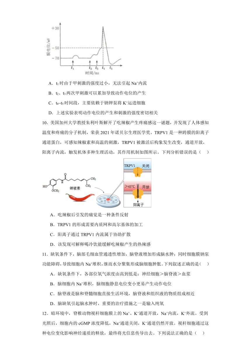 2.2神经冲动的产生与传导 练习（含解析）