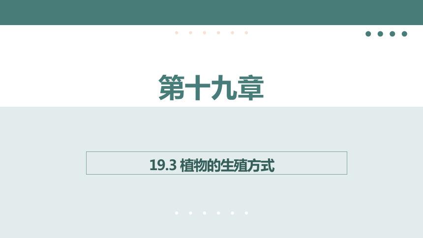 6.19.3植物的生殖方式同步课件(共16张PPT)2023---2024学年北师大版生物八年级上册