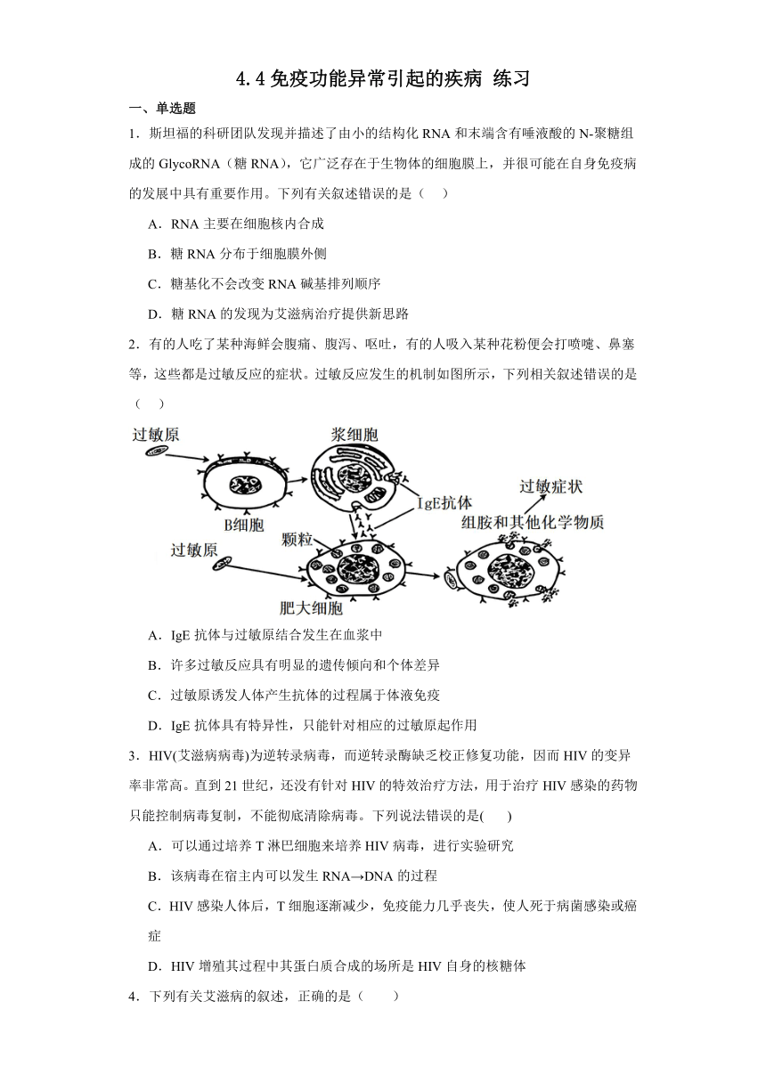 4.4免疫功能异常引起的疾病 练习（含解析）