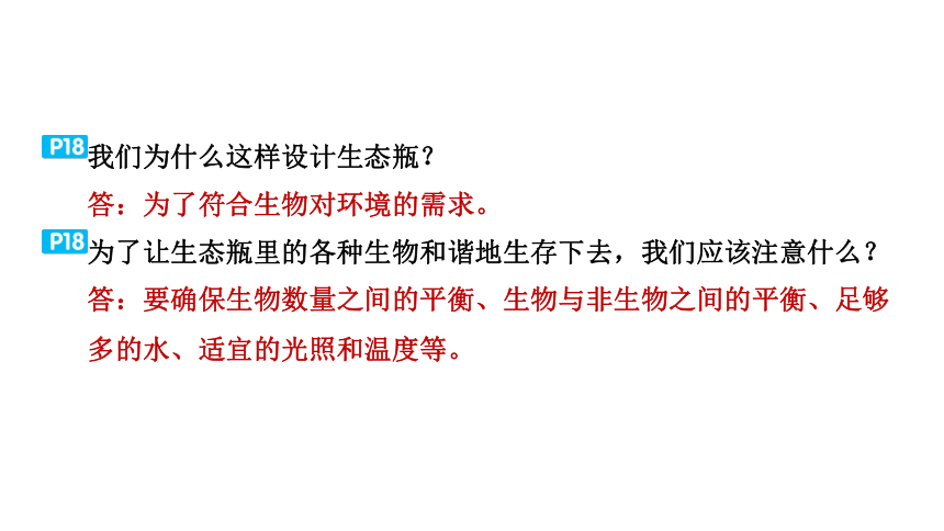 教科版科学五年级下册教材研讨问题参考答案  课件(共36张PPT)