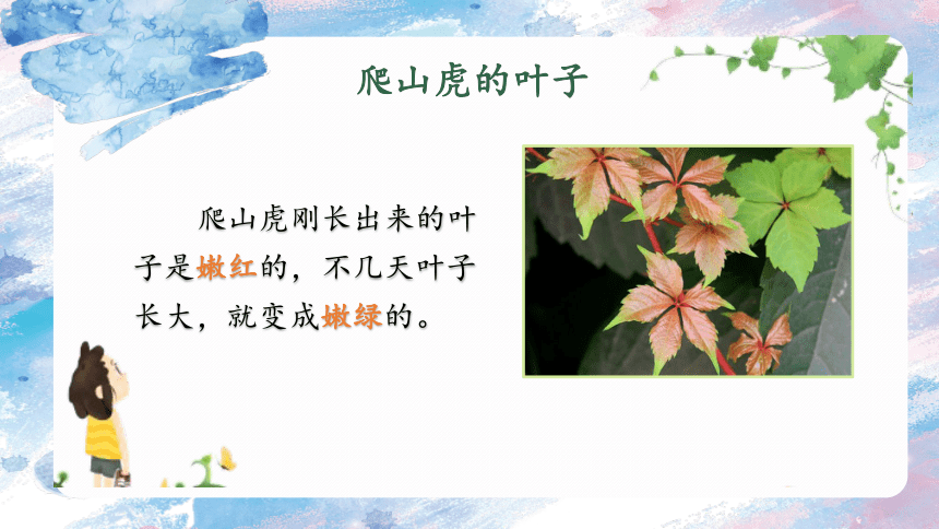 10《爬山虎的脚》  课件(共20张PPT)