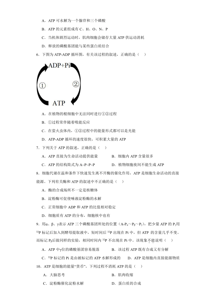 5.2 细胞的能量“货币”ATP 练习（解析版）