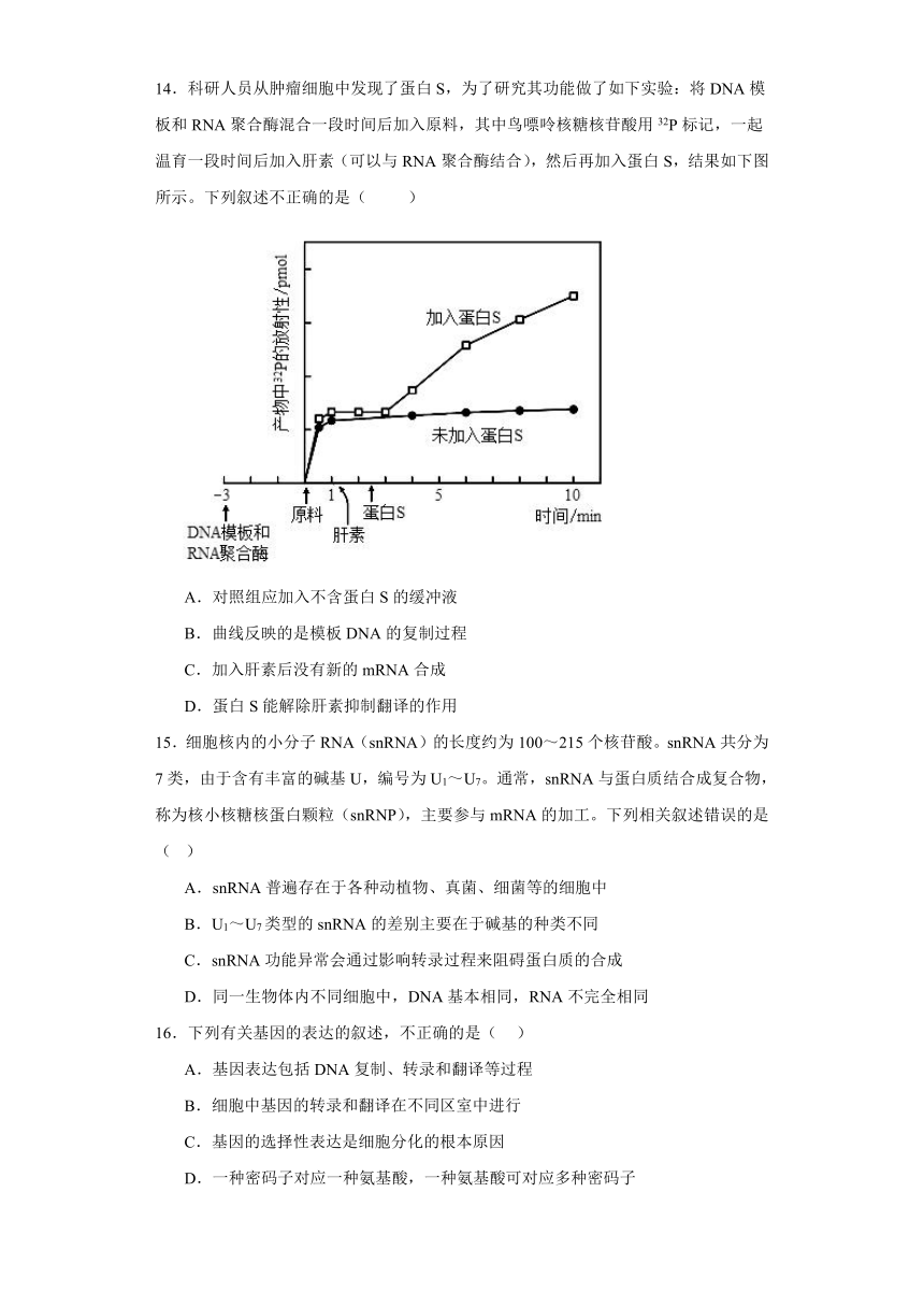 第2章 遗传信息的复制与表达 单元检测（解析版）