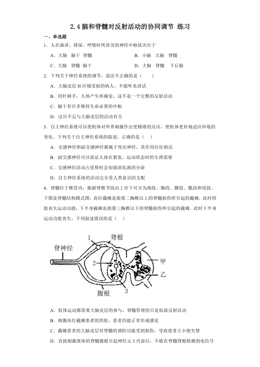 2.4脑和脊髓对反射活动的协同调节 练习（含解析）