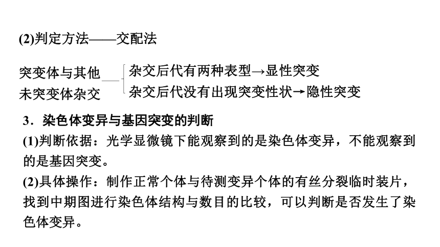 新人教高考生物学一轮复习素养加强课7　生物变异类型的实验探究(课件共25张PPT)