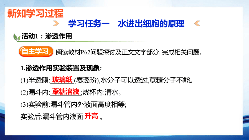 4.1.1 水进出细胞的原理(共32张PPT)-高一生物课件（人教版2019必修1）