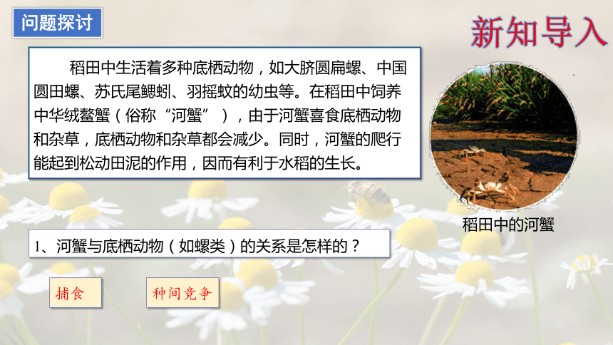 高中生物人教版（2019）选择性必修2课件：2.1 群落的结构（第一课时）(共32张PPT)