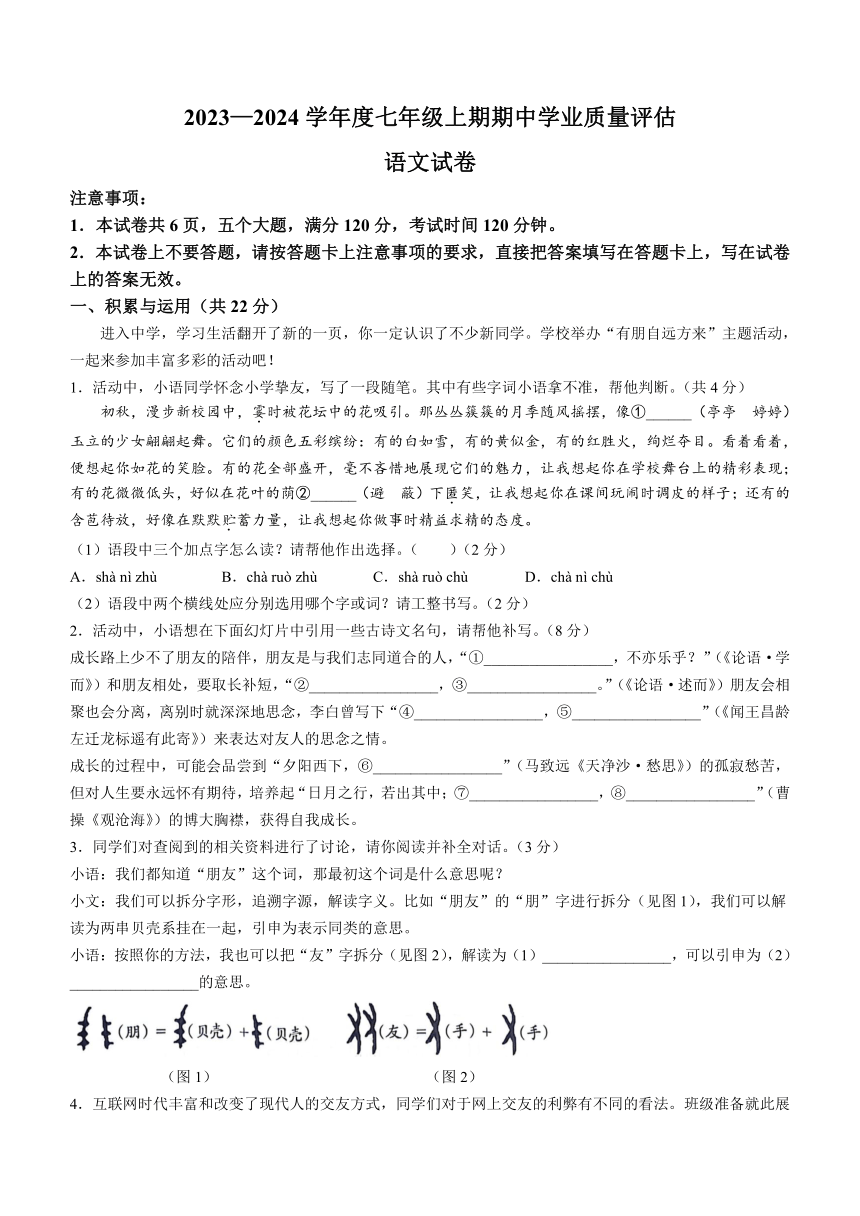 河南省漯河市召陵区2023-2024学年七年级上学期期中语文试题（含答案）