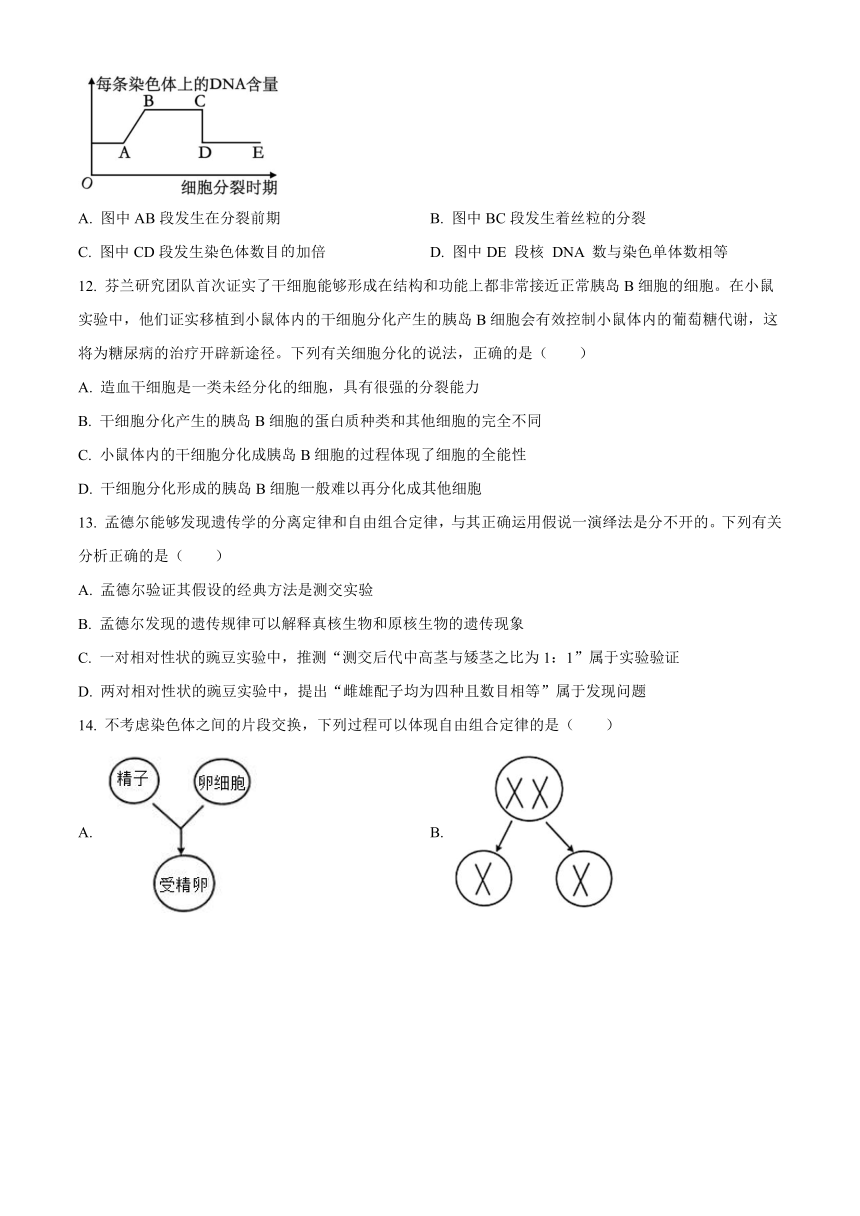 内蒙古部分名校2023-2024学年高三上学期期中联考试题生物（解析版）