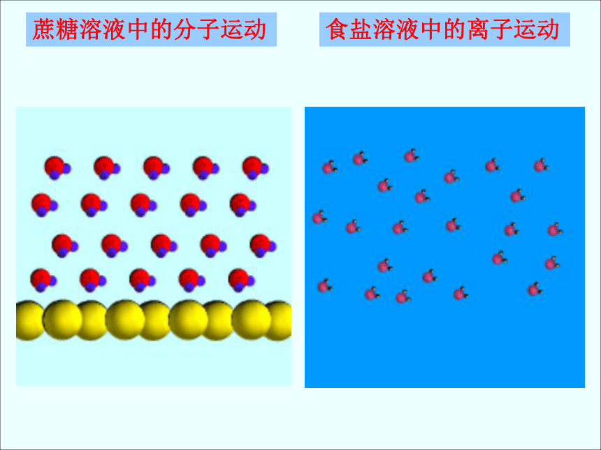 沪教版九下化学 6.1物质在水中的分散 课件(28张PPT)