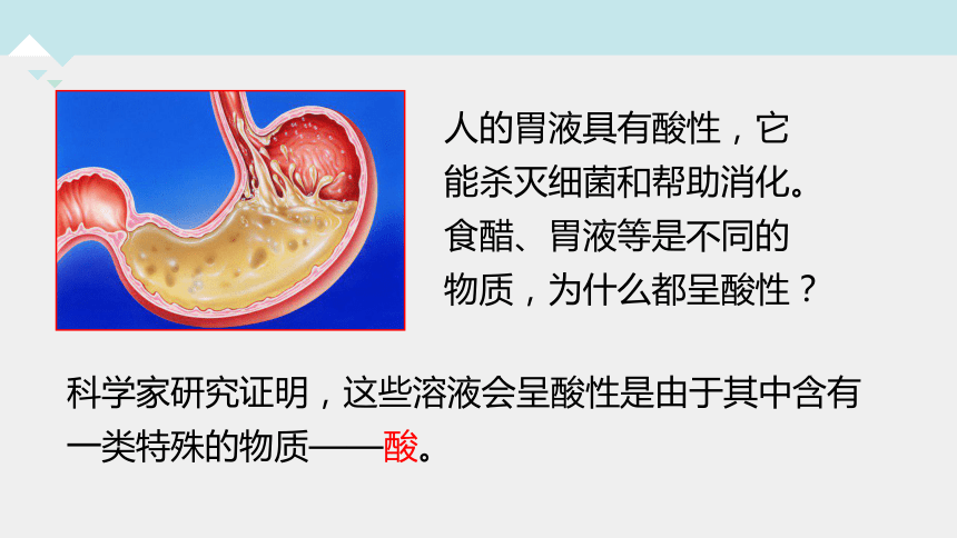 1.2 物质的酸碱性（第1课时）---2023-2024学年浙教版科学九年级上册（课件 23张ppt）