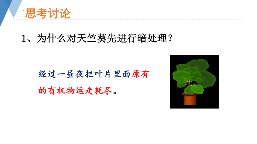 2.1.3 绿色植物的光合作用 （第1课时)课件(共26张PPT+内嵌视频1个)2023--2024学年济南版生物七年级上册