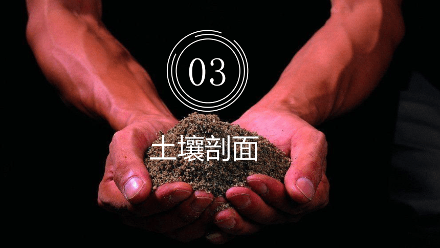 5.2土壤的形成  第二课时课件（共50张PPT）